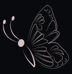 Self-Care Collection